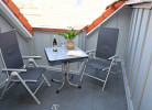 Rotbuche 6