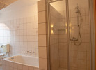 Rotbuche 1