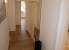 Rotbuche 1