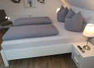 Rotbuche 6