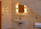 Rotbuche 1