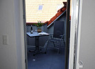 Rotbuche 6