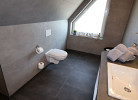 Rotbuche 1